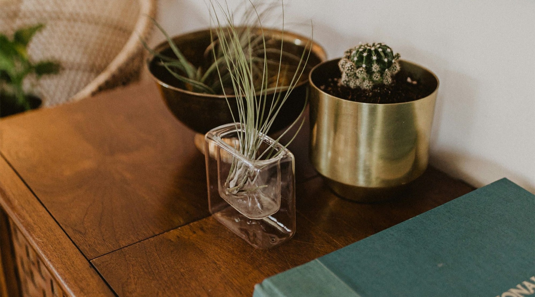 Live Life to the Fullest dresser with decor and plant